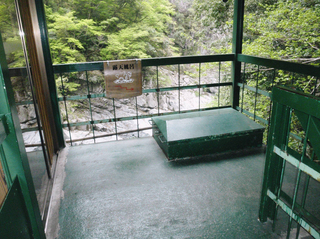 祖谷温泉酒店主图