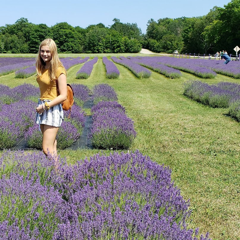 Island Lavender Farm Market景点图片