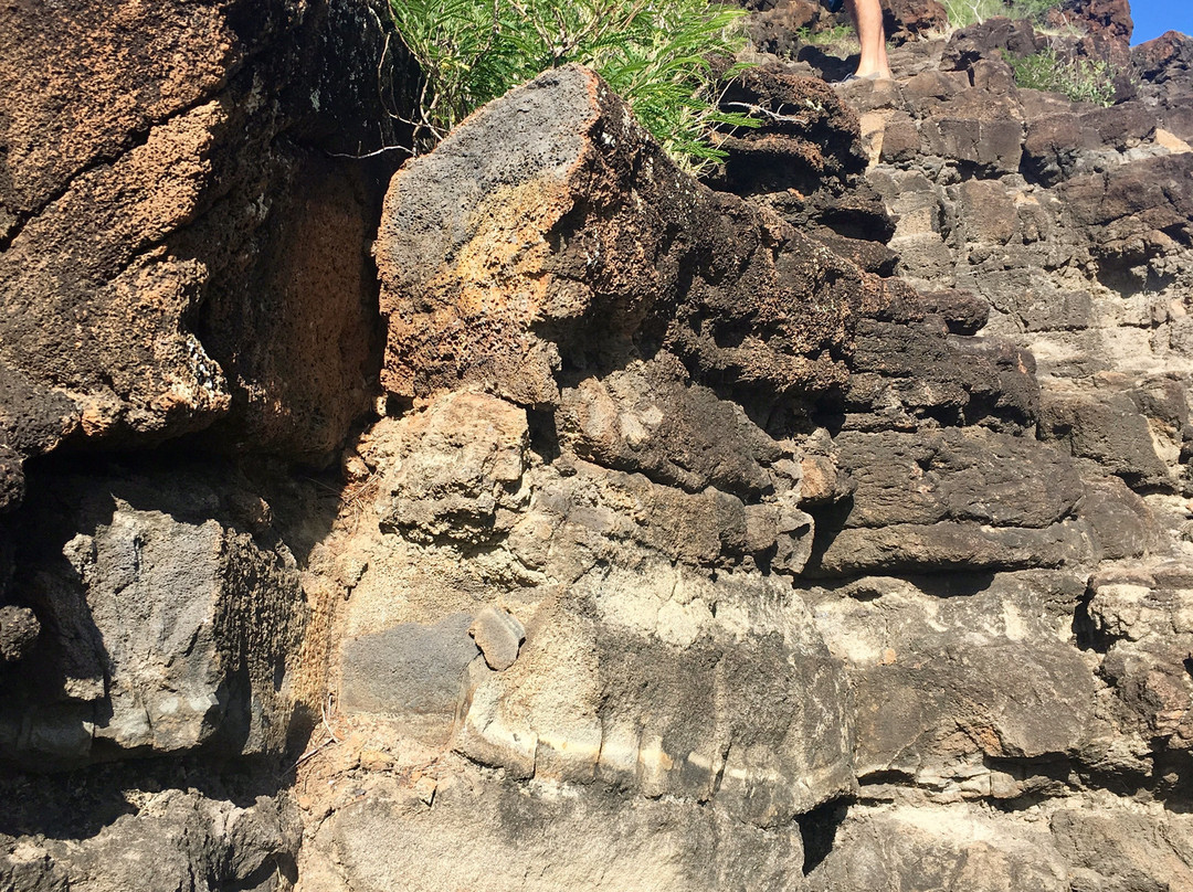 Maunalahilahi Botanical Garden-Makaha必去景点