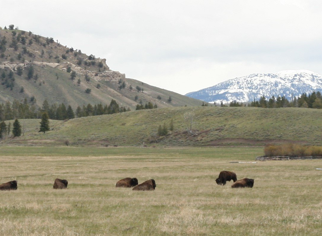 Teton Point Turnout-穆斯必去景点