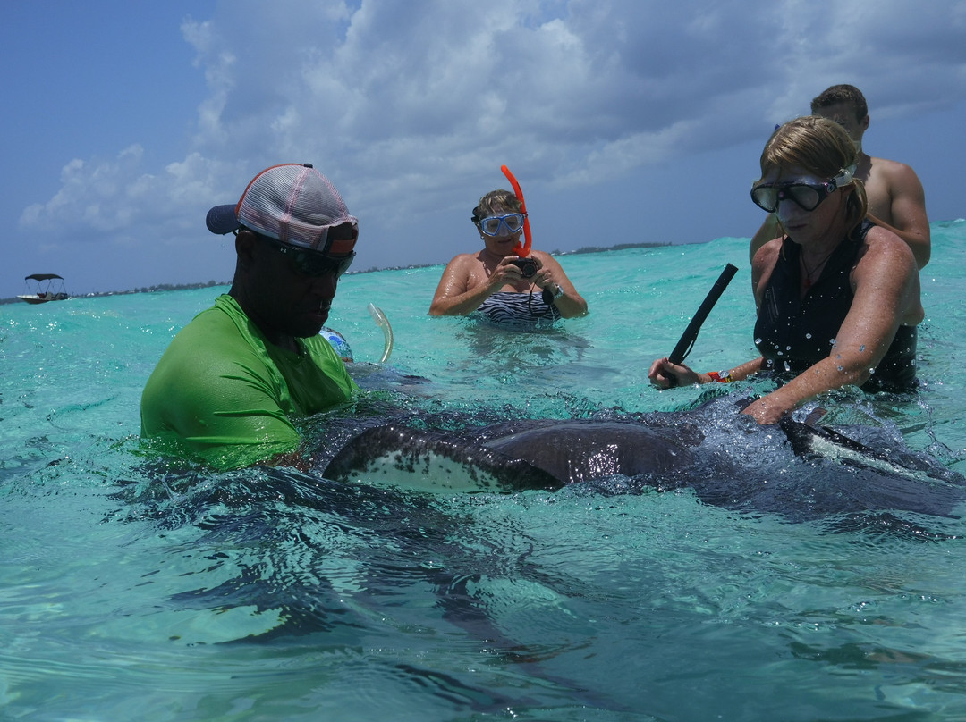 Tours Cayman-西湾必去景点