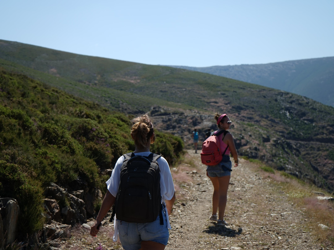 Do Tour Aveiro-阿威罗必去景点