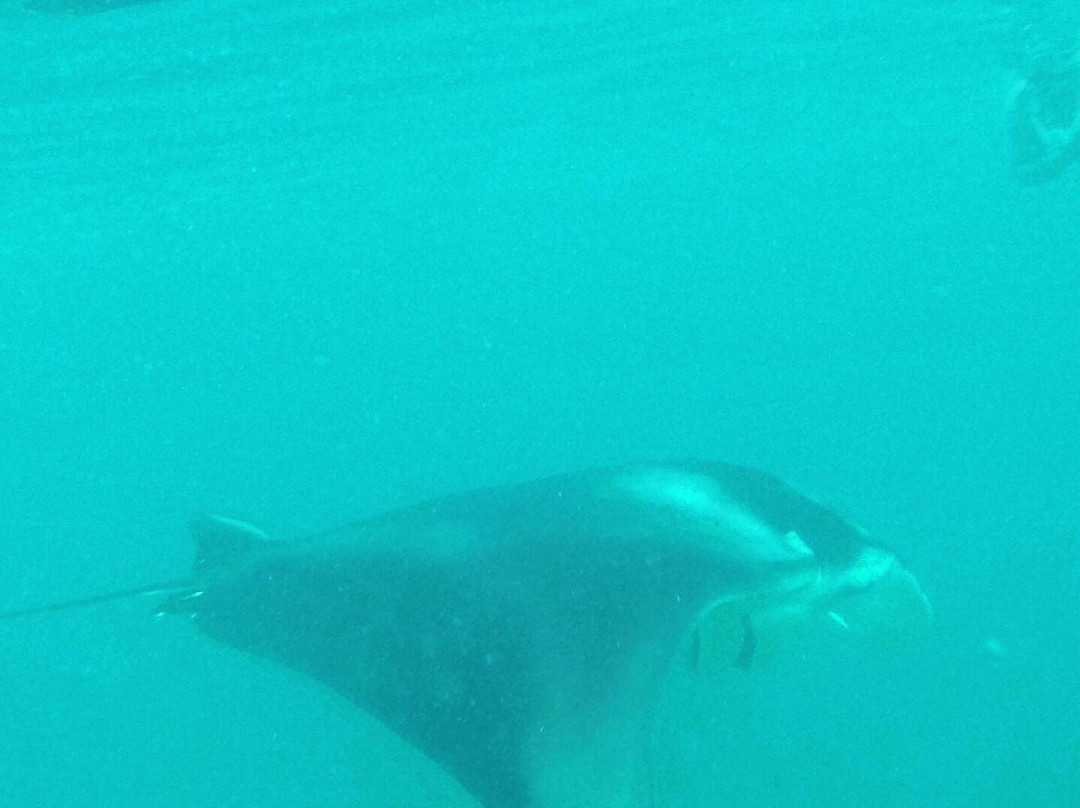 Vilu Veli Beach Inn主图