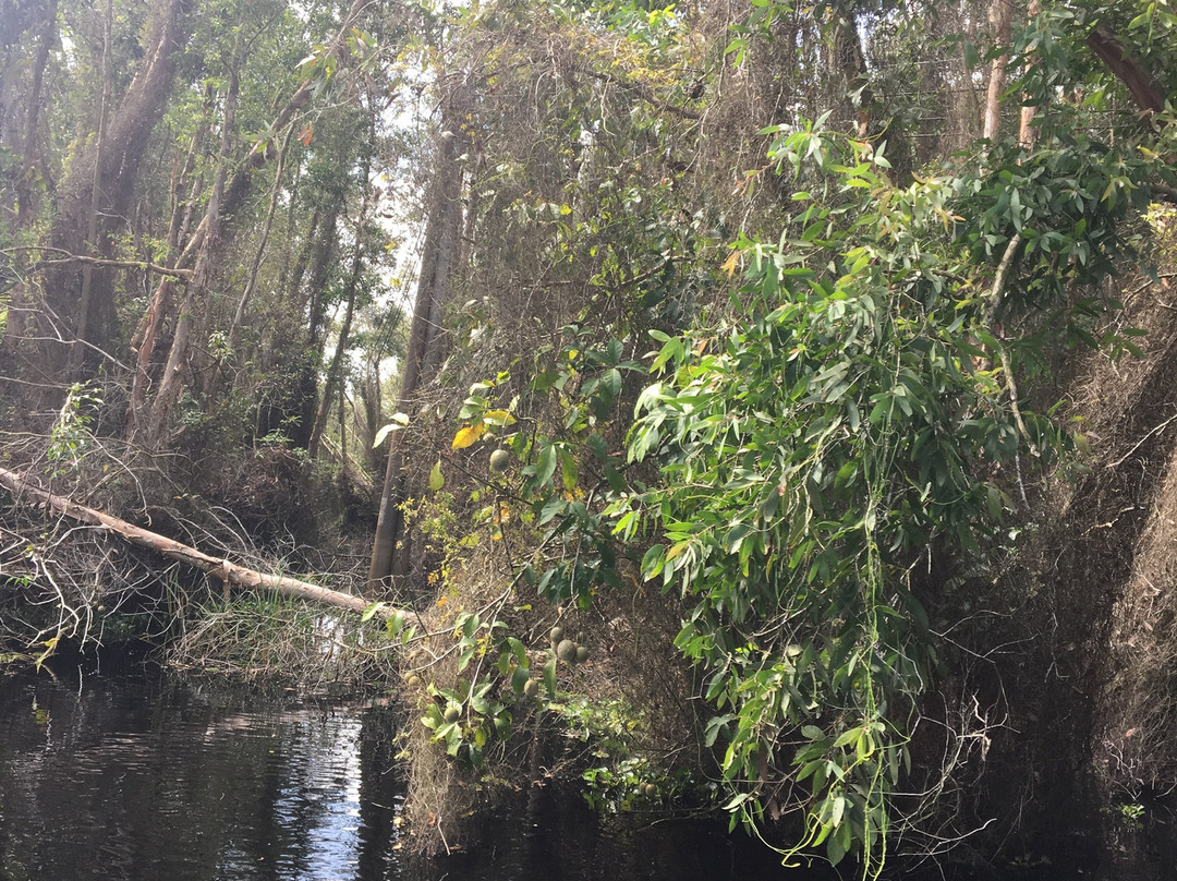Lang Noi Tan Lap-Long An Province必去景点