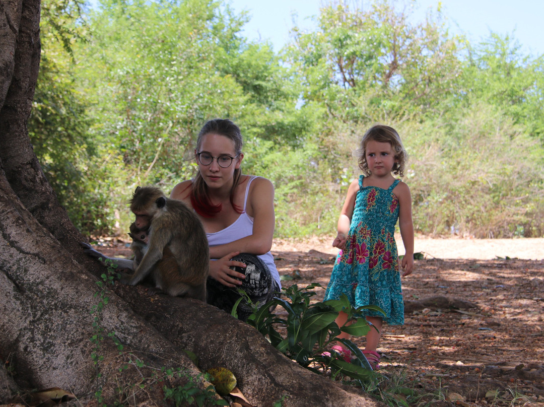 Udawalawe Safari Fun-乌达瓦拉瓦必去景点