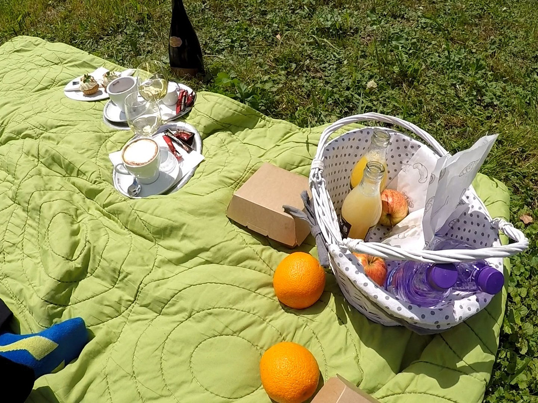 Hotel Gino Park Palace主图