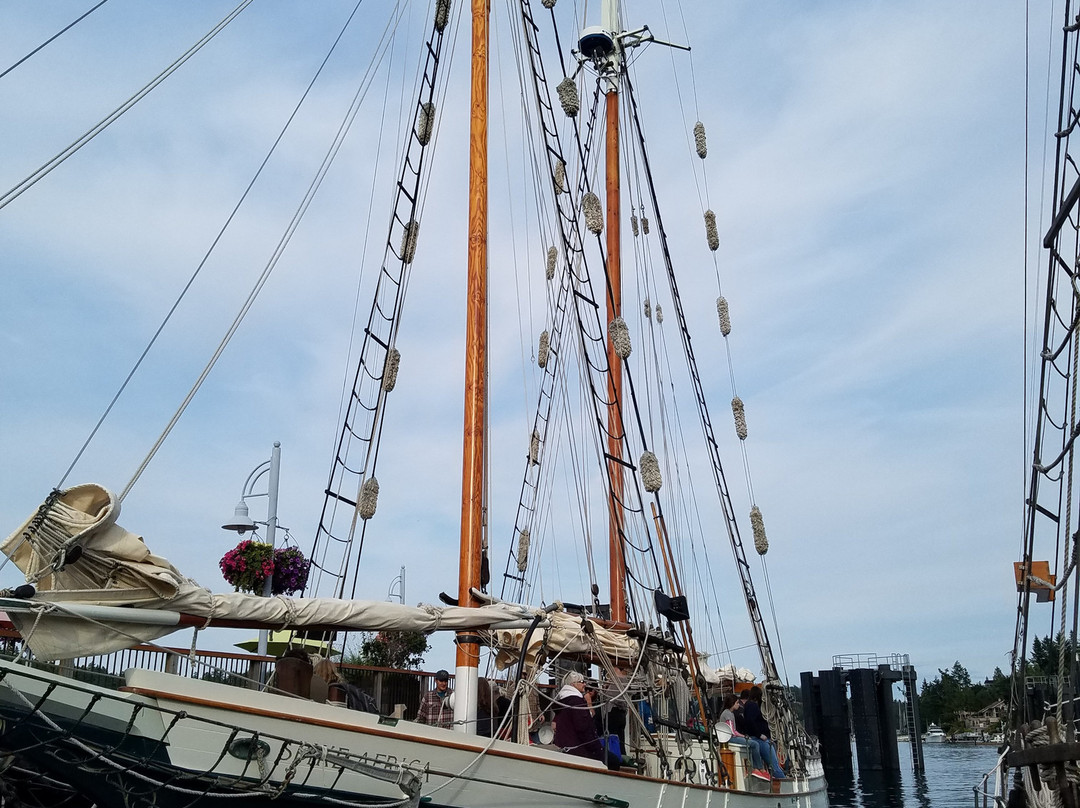 Schooners North景点图片