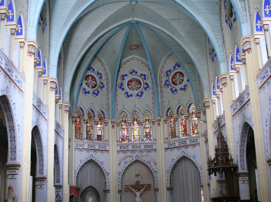 Cathedral Of The Immaculate Conception景点图片