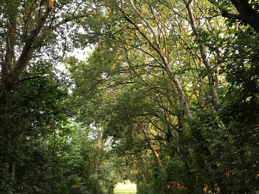 Landhotel Mollhagen主图