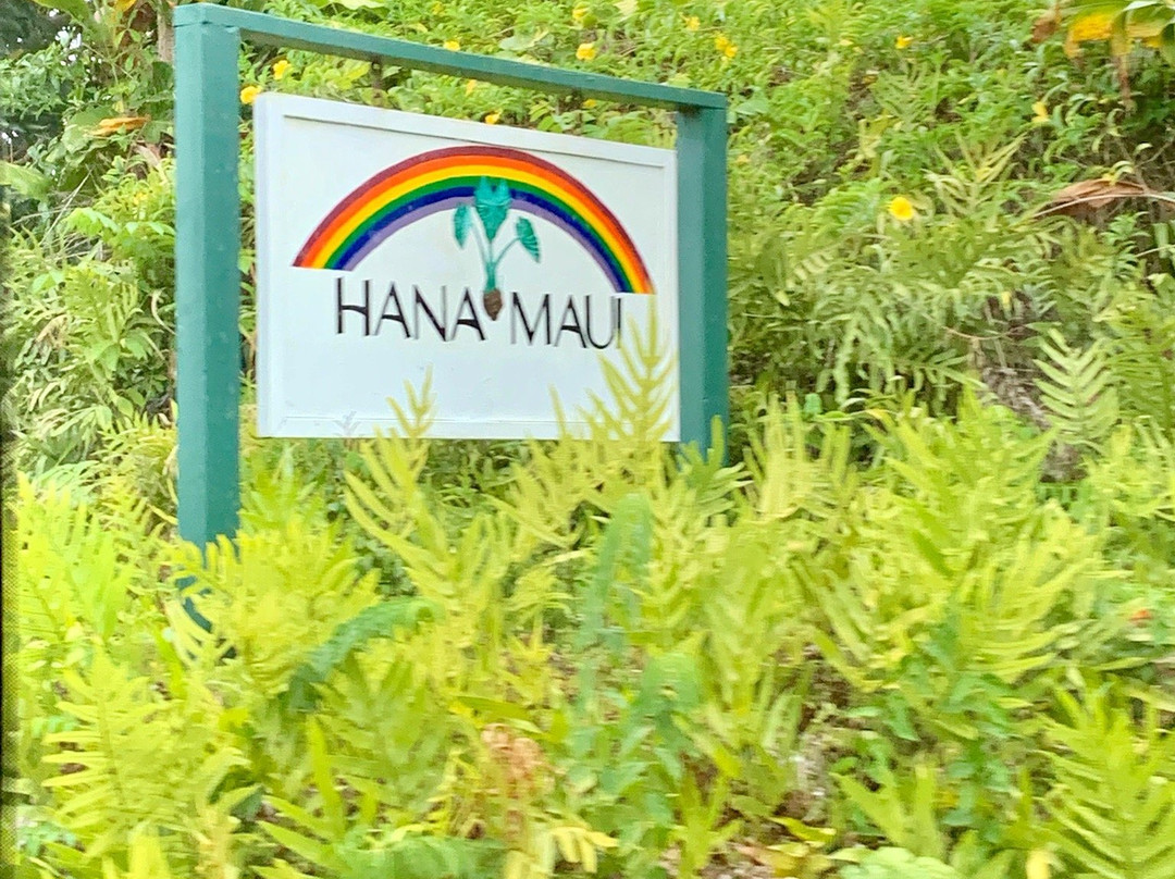 Dynamic Tour Maui-怀露库必去景点