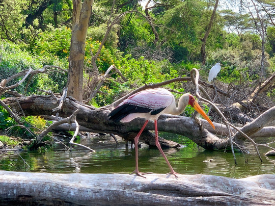 Discovery Expeditions & Adventures-内罗毕必去景点