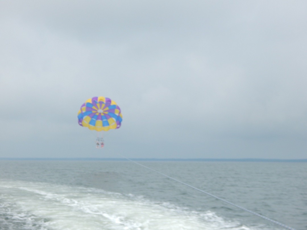 Beach Haven Parasail景点图片