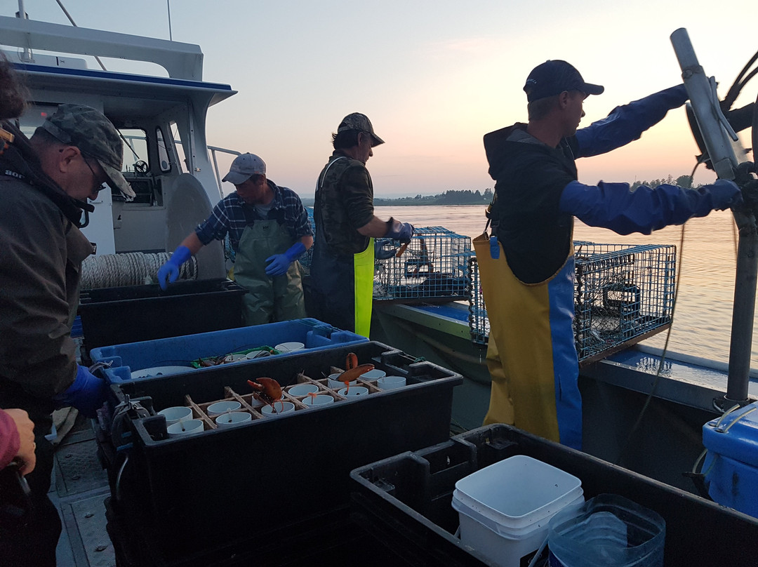 L'omirlou-Bonaventure必去景点