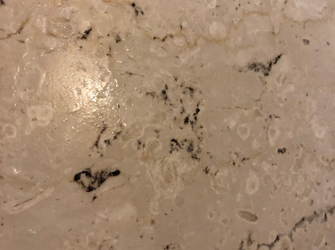 Lombardy Boutique Hotel & Conference Venue主图