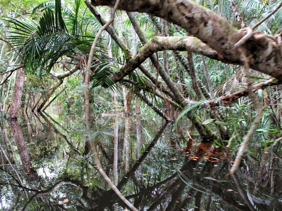 Alter Beach Turismo-Alter do Chao必去景点