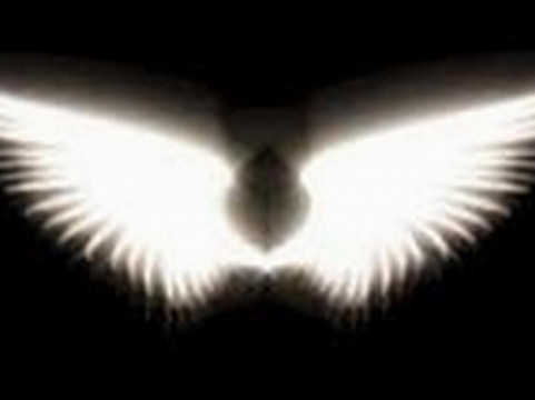 World Heritage Network-张家界市必去景点