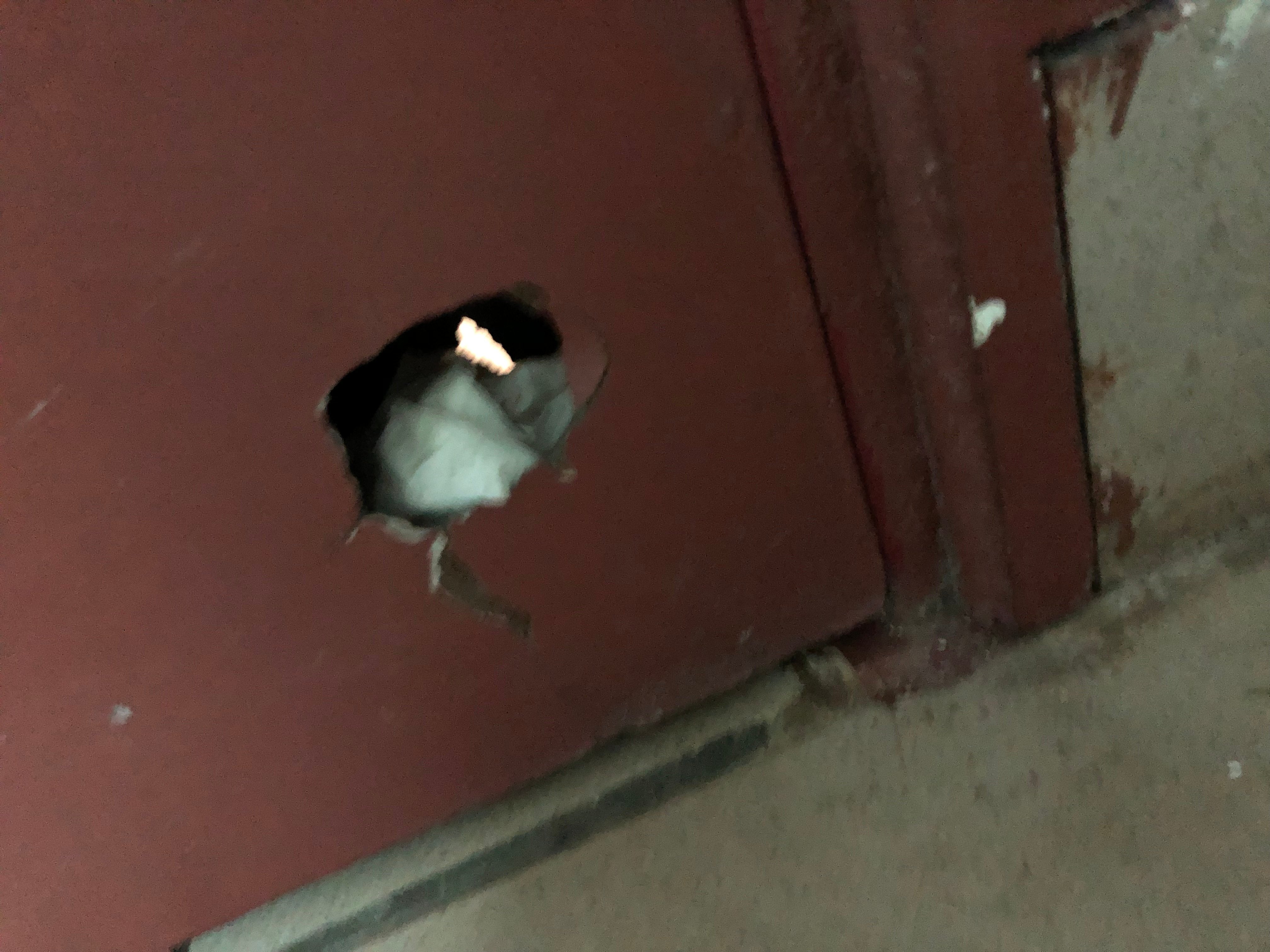 Hotel Novela Star-官方