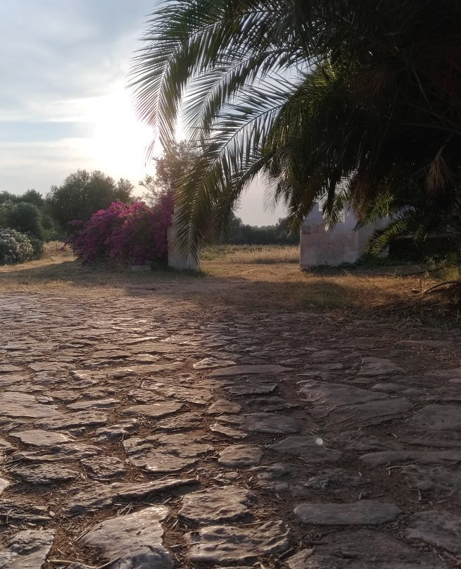 Masseria La Grave主图