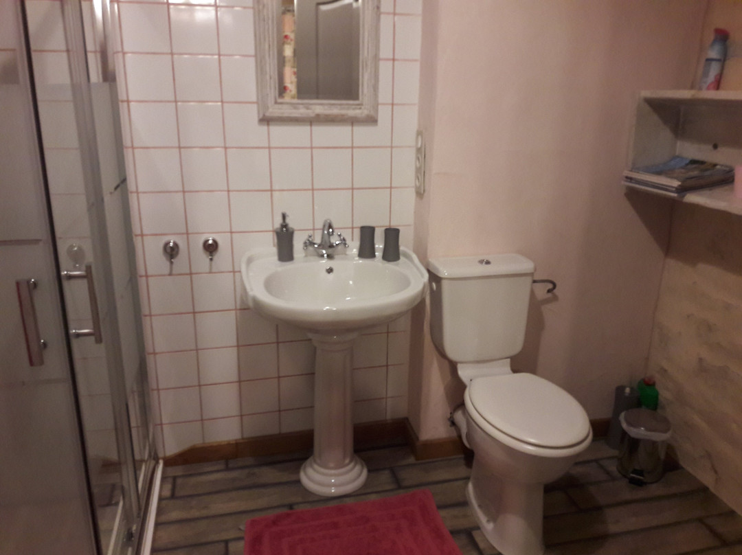 Les 5 Petits Lapins主图