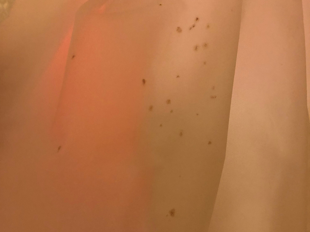 伯明翰胡佛万怡酒店主图