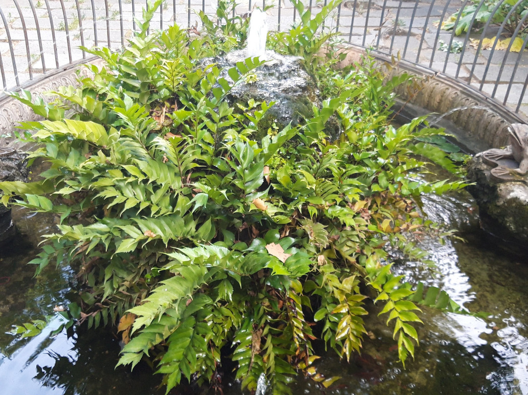 Jardins de La Tamarita-巴塞罗那必去景点