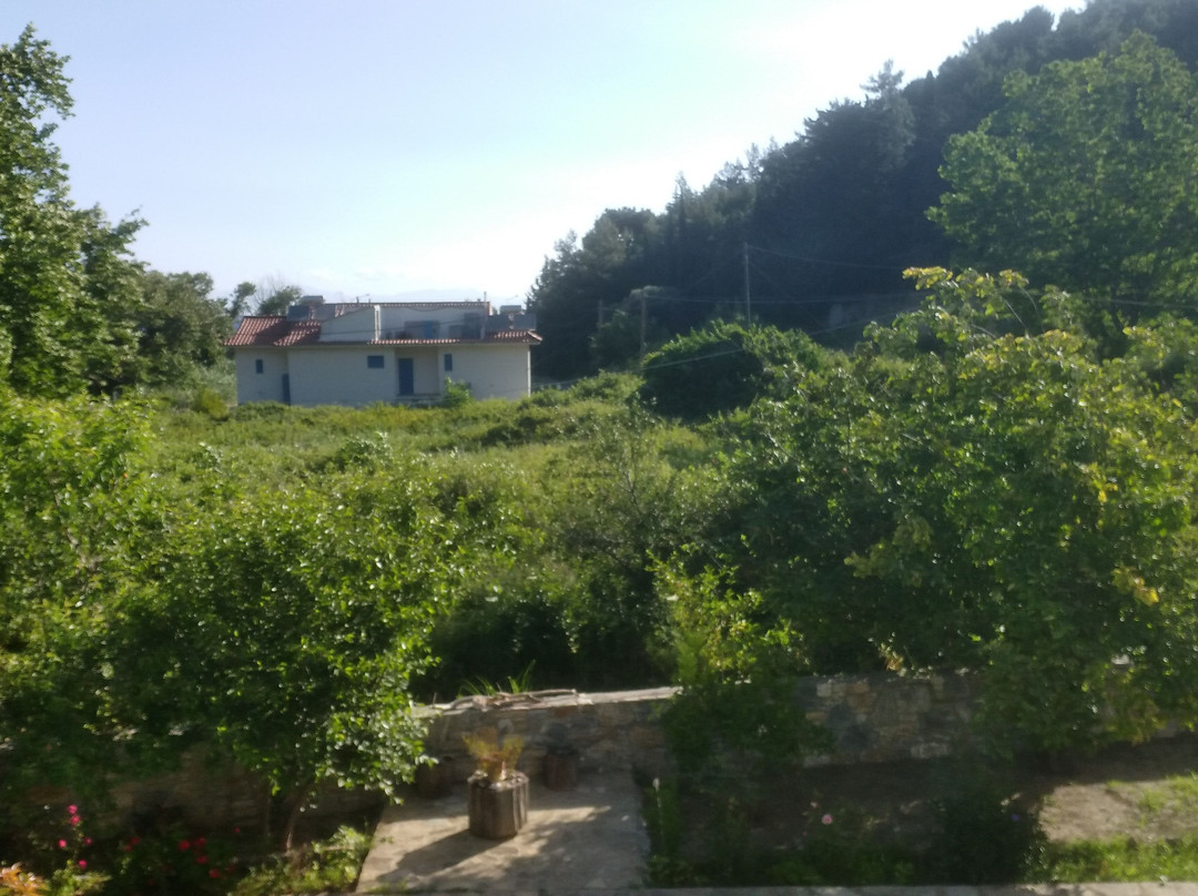 Alekos Rooms and Apartments主图