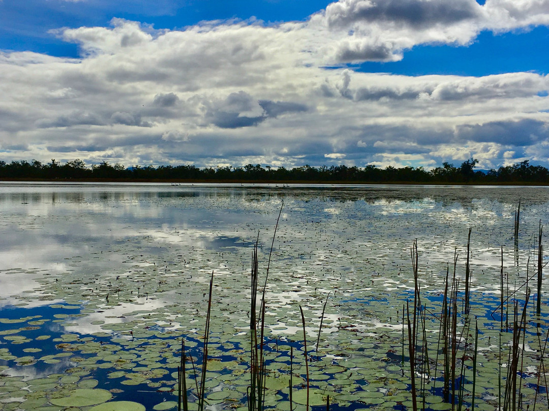 Man and Dog Bush Adventures-道格拉斯港必去景点