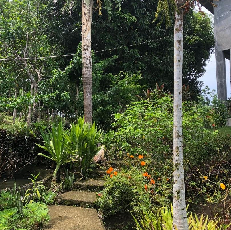 Lawaan旅游攻略图片