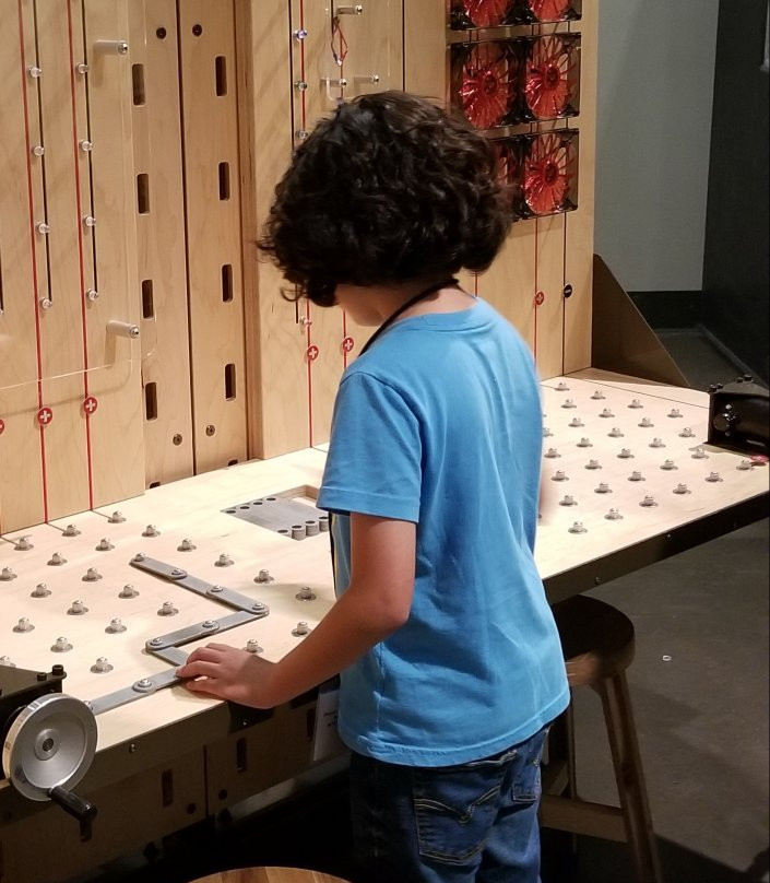 Gray Fossil Site-Gray必去景点