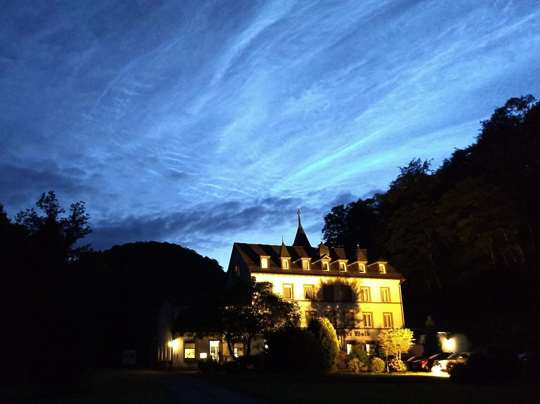 Hotel Pfalzer Wald主图