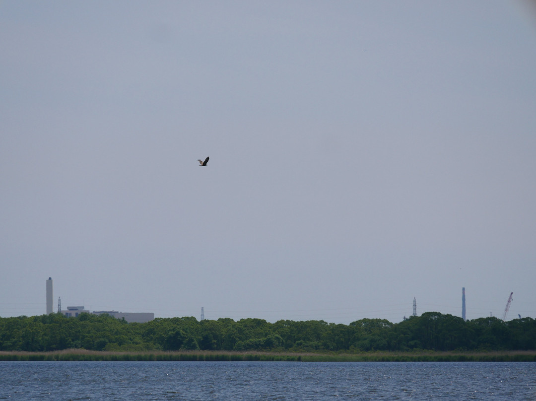 Lake Utonai Sanctuary景点图片