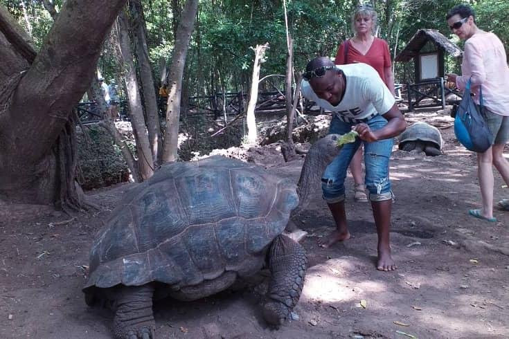 Mzuri Tours & Safaris-Pwani Mchangani必去景点