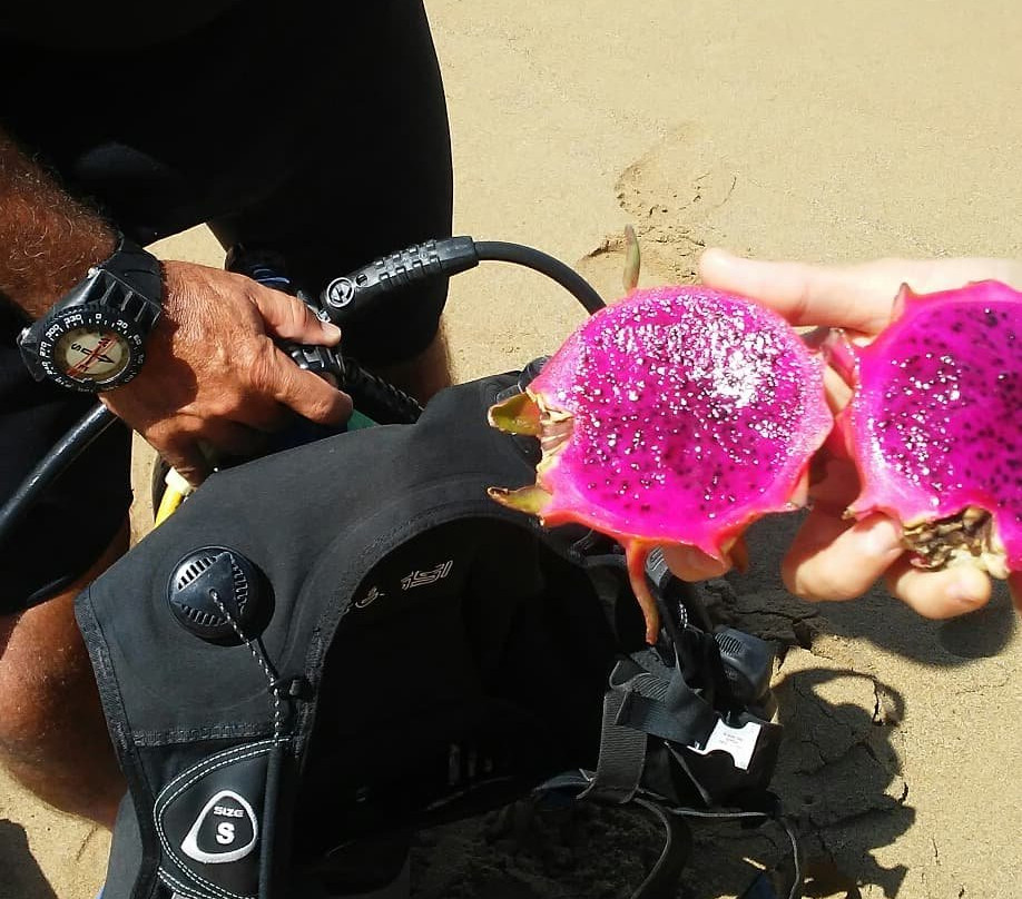 Sosua Diving Center-苏莎亚必去景点