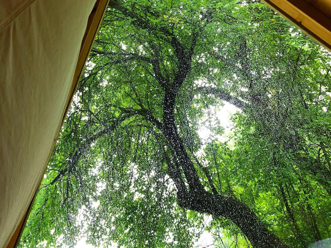 Eastwind Hotel & Bar主图