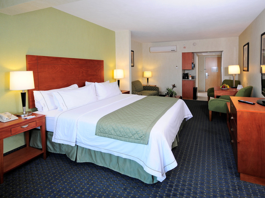 Holiday Inn Express & Suites Toluca Zona Aeropuerto by IHG主图
