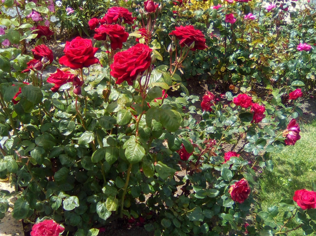 Au jardin de Creach Avel - Chambres d'hotes主图