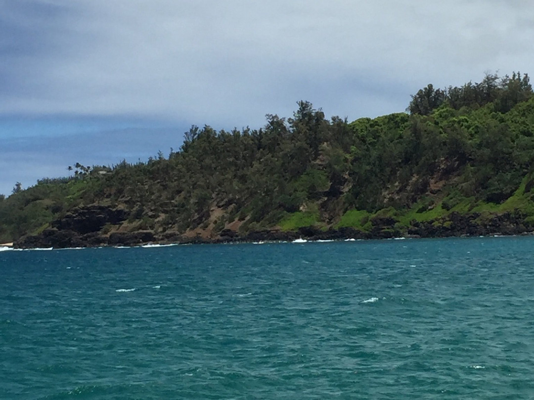 Kahili Quarry Beach-基拉韦厄必去景点