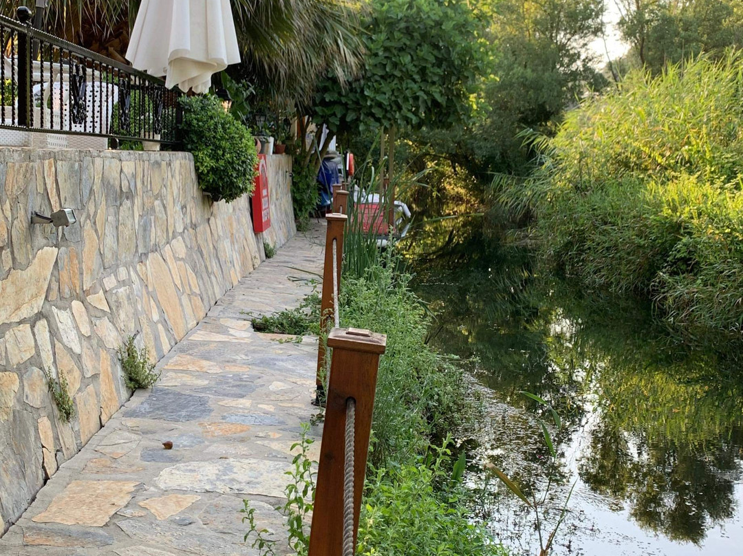 Three Palms Suites主图