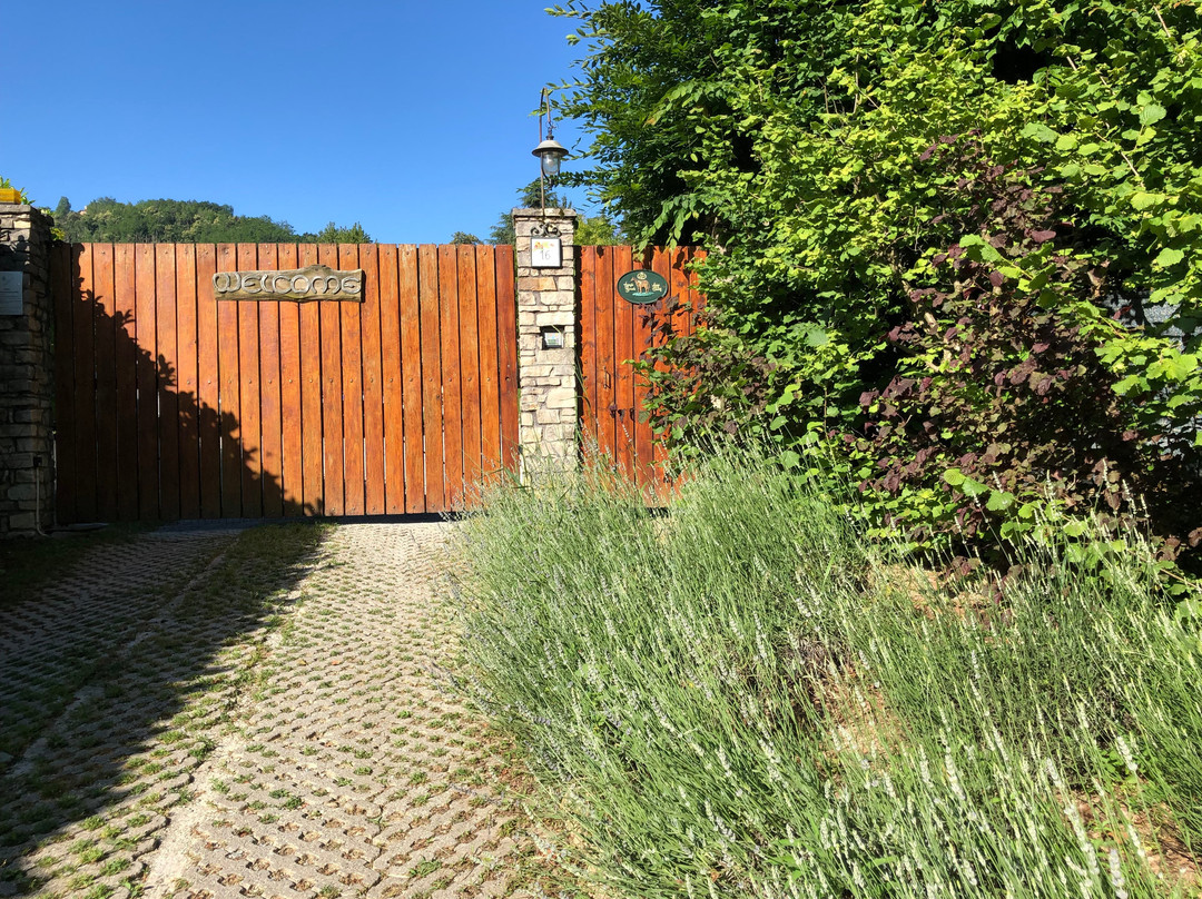 B&B La Casa di Campagna主图