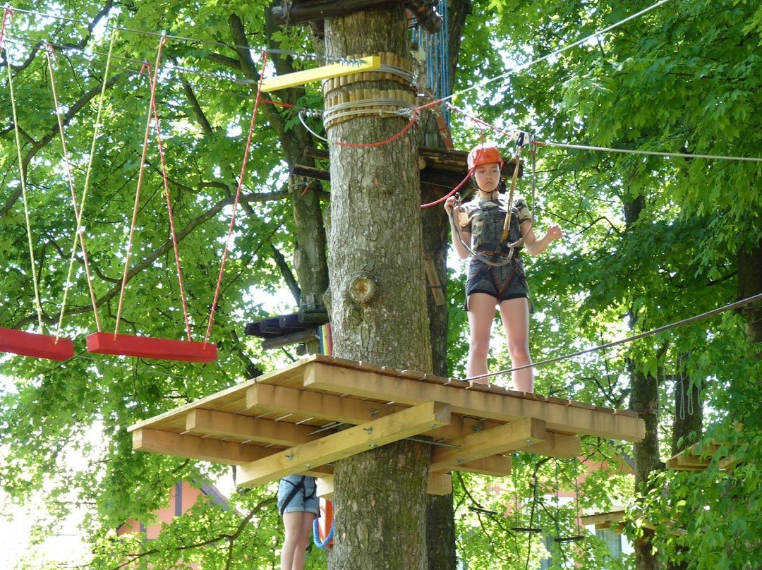 Park Linowy Kudowa-Kudowa-Zdroj必去景点