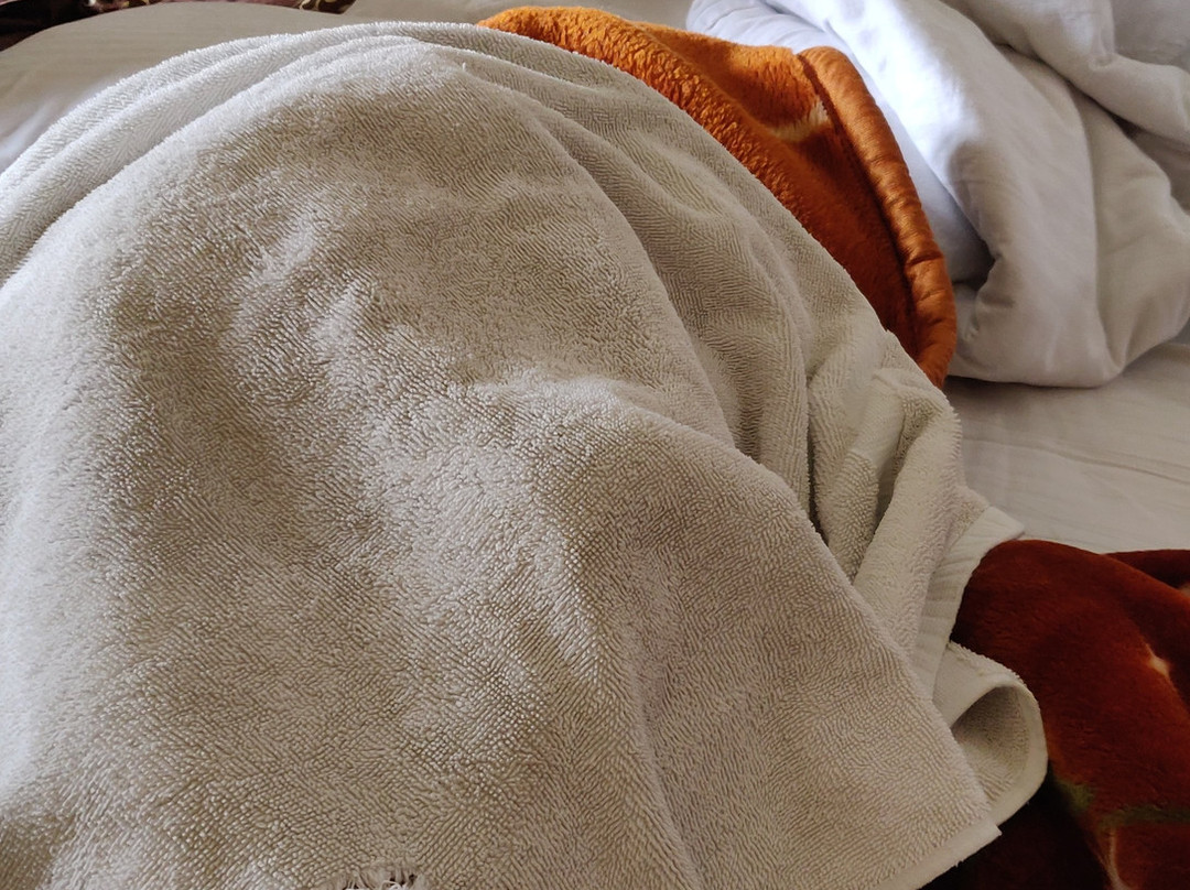 Fairvacanze Inns & Suites主图