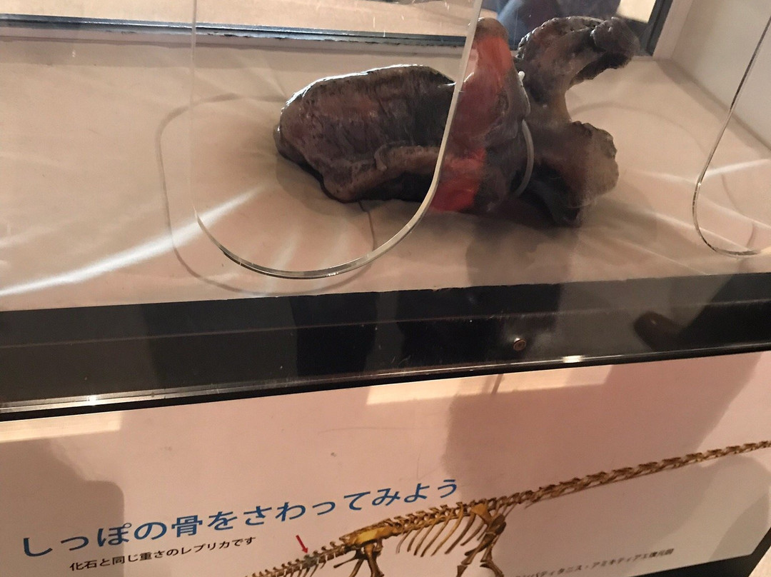 Hyogo Prefectural Operated Human and Nature Museum-三田市必去景点