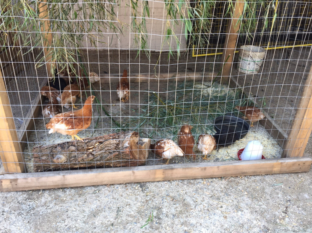 Birba Ranch-Tregasio必去景点