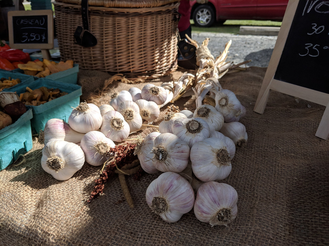Marché public de Magog-梅戈格必去景点