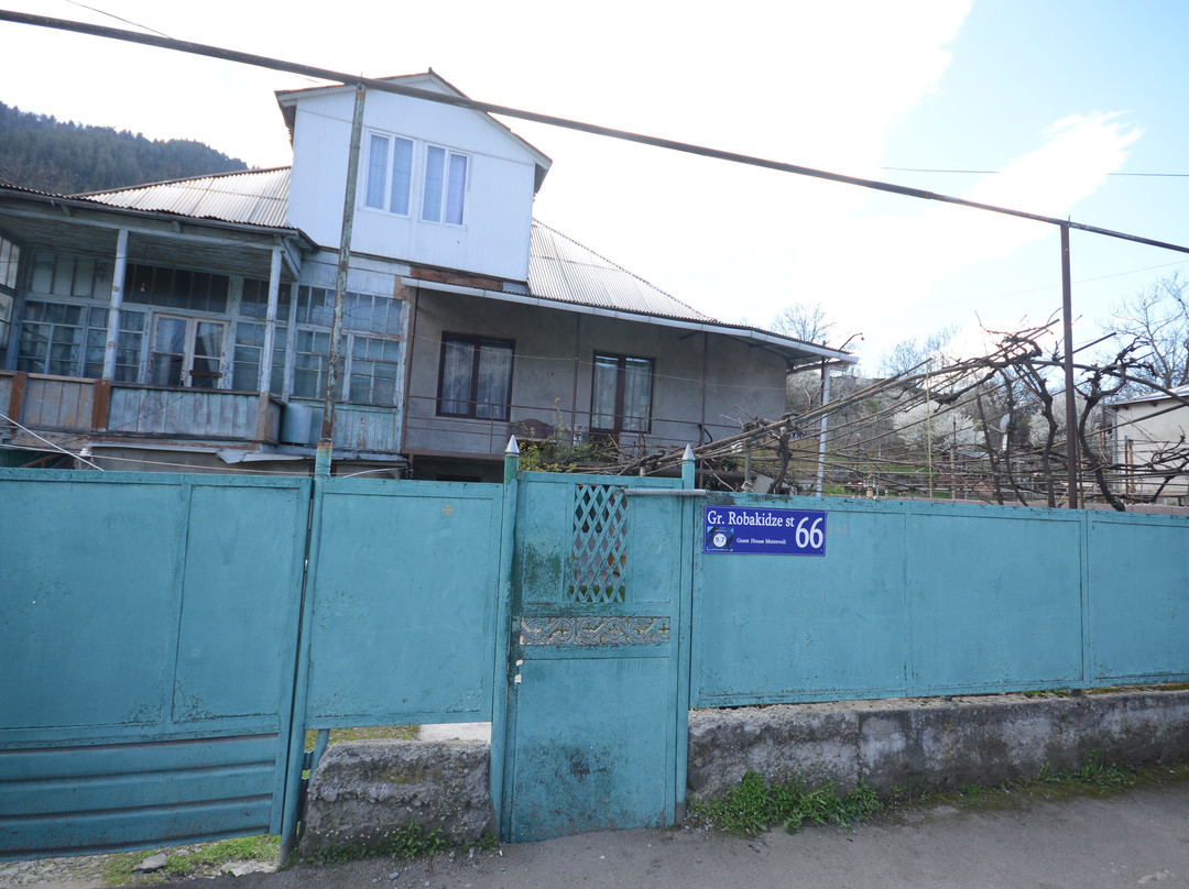 Guest House Metreveli主图