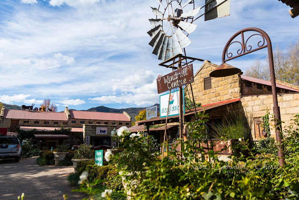 Blou Donki Art Gallery-克拉伦斯必去景点