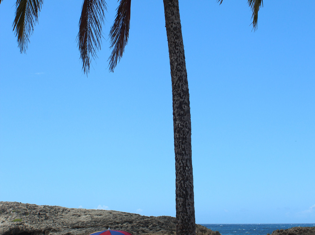 Playa Mar Chiquita-Manati必去景点