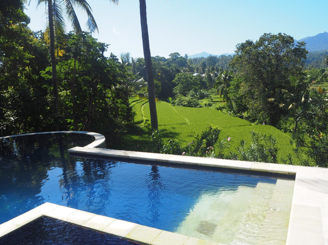 Lotus Guesthouse主图