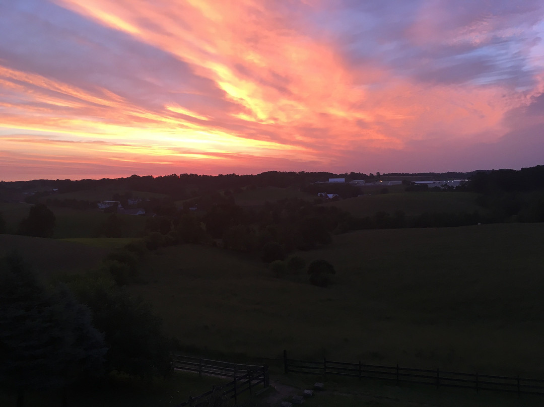 Holmes With A View主图