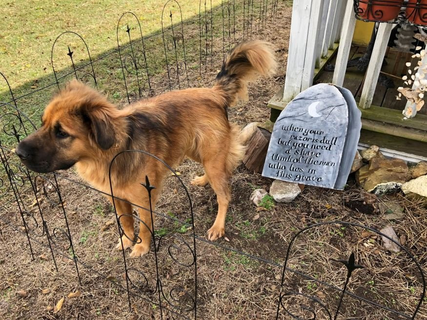 Rural Oklahoma Museum of Poetry-Locust Grove必去景点
